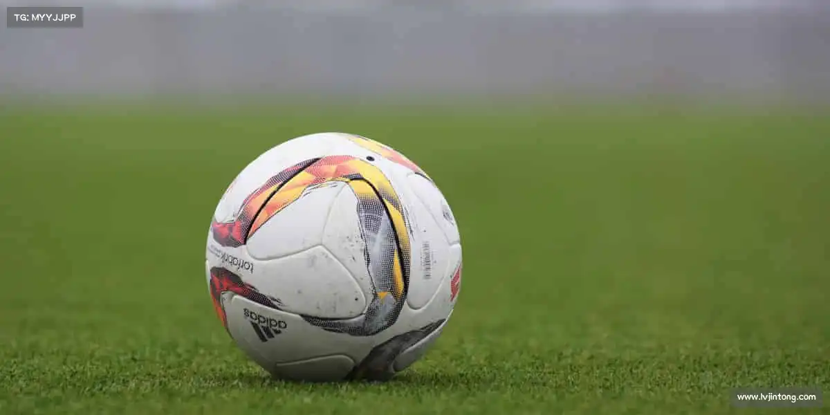 js3333线路检测中心——🥊拳力以赴！释放压力，格斗课程点燃你的斗志🔥